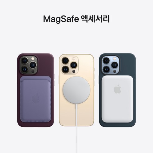 Apple 아이폰 13 Pro Max